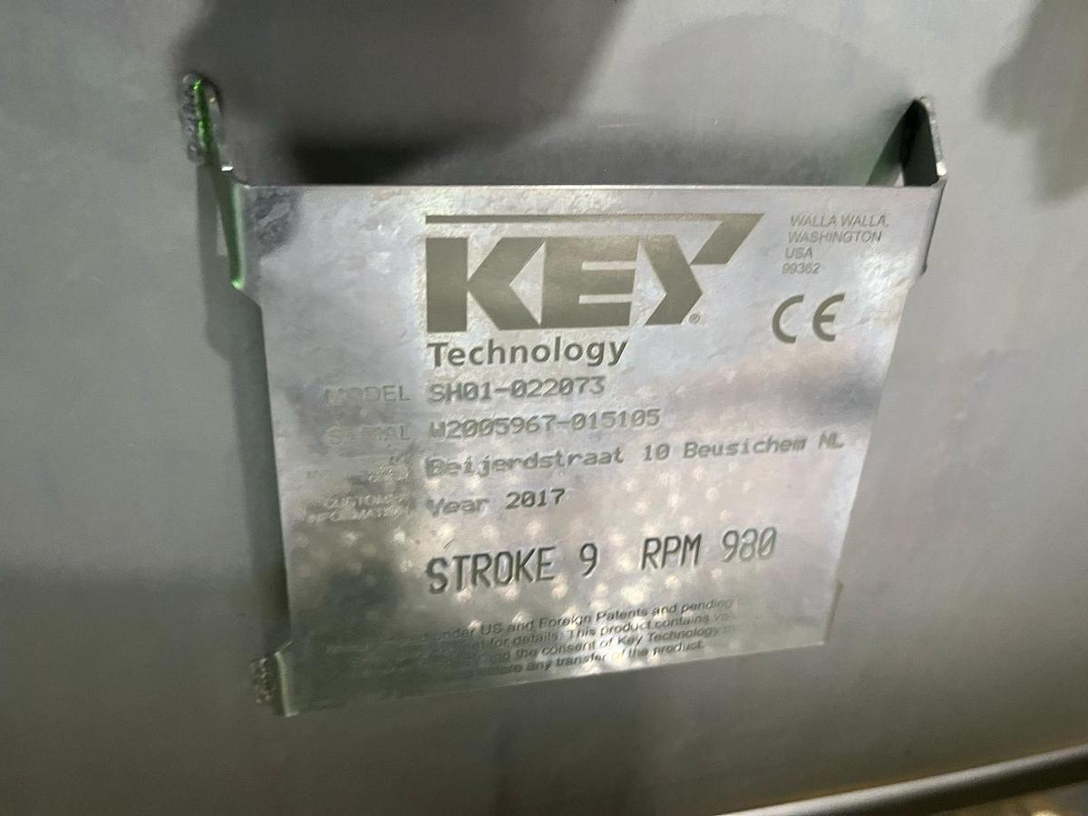 Used Complete sorteerlijn voor productie van French Fries