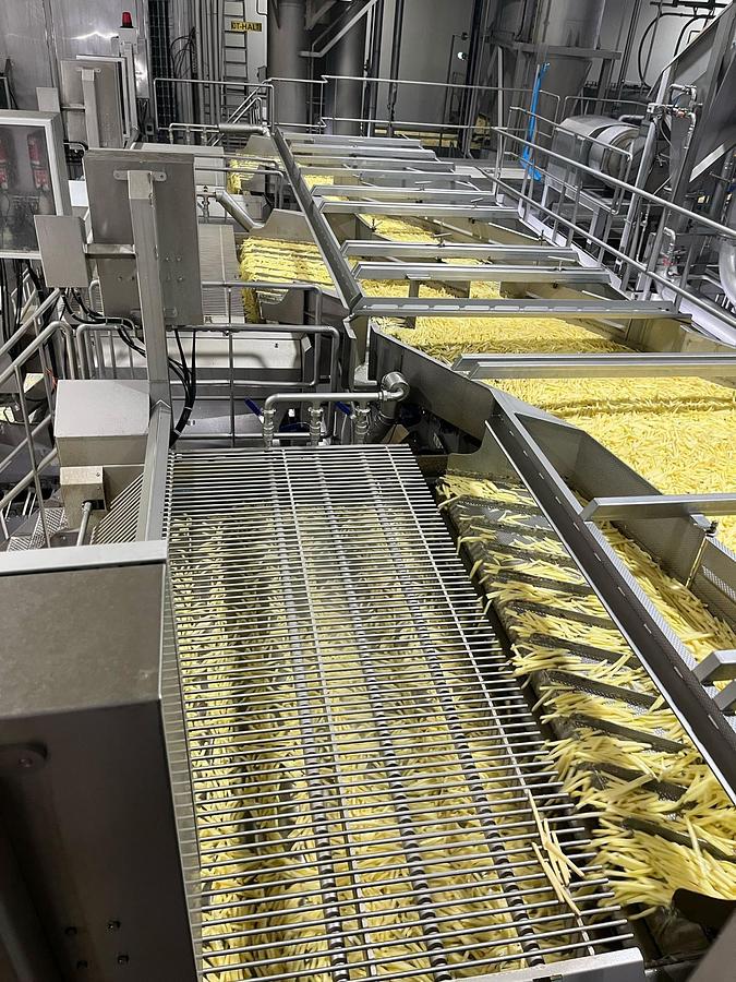 Used Complete sorteerlijn voor productie van French Fries