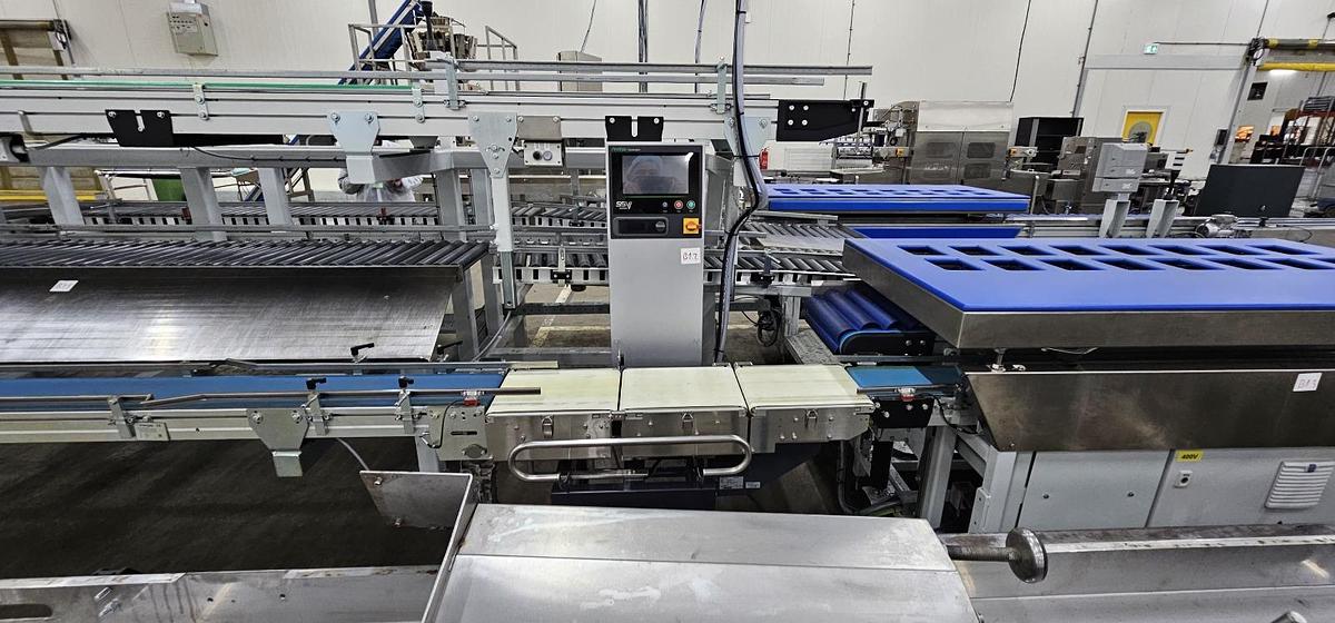 Used 2023 Viscon Complete weeg/ verpakkingslijn voor tros tomaten