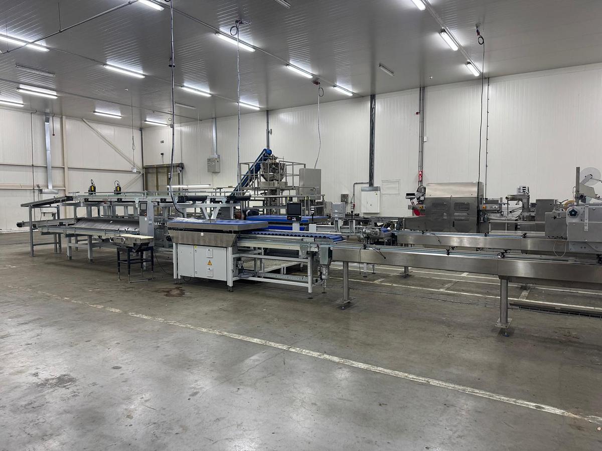 Used 2023 Viscon Complete weeg/ verpakkingslijn voor tros tomaten