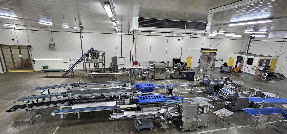 Used 2023 Viscon Complete weeg/ verpakkingslijn voor tros tomaten