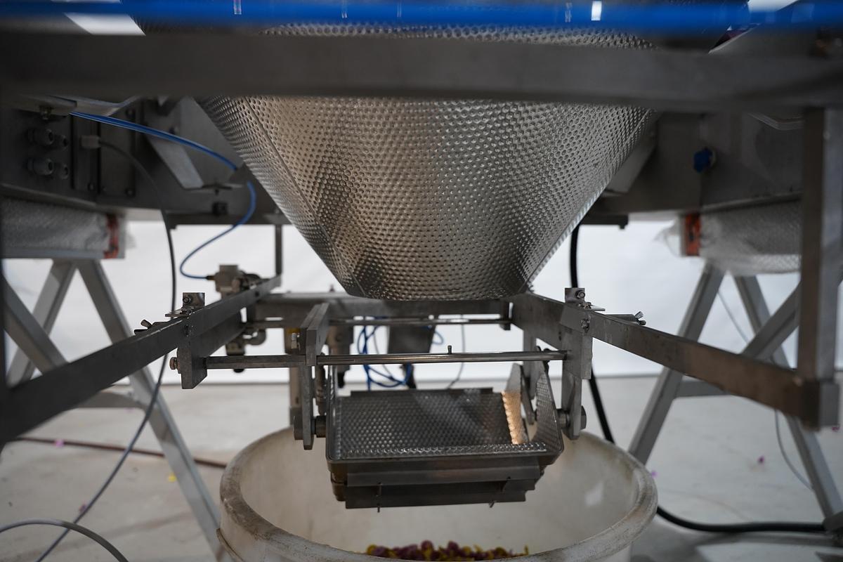 Gebruikt 1999 Ishida Multihead weger, CCW-RZ-214W-S/60-WP