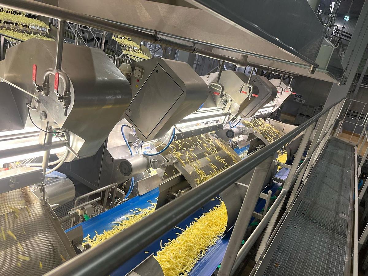 Used Complete sorteerlijn voor productie van French Fries