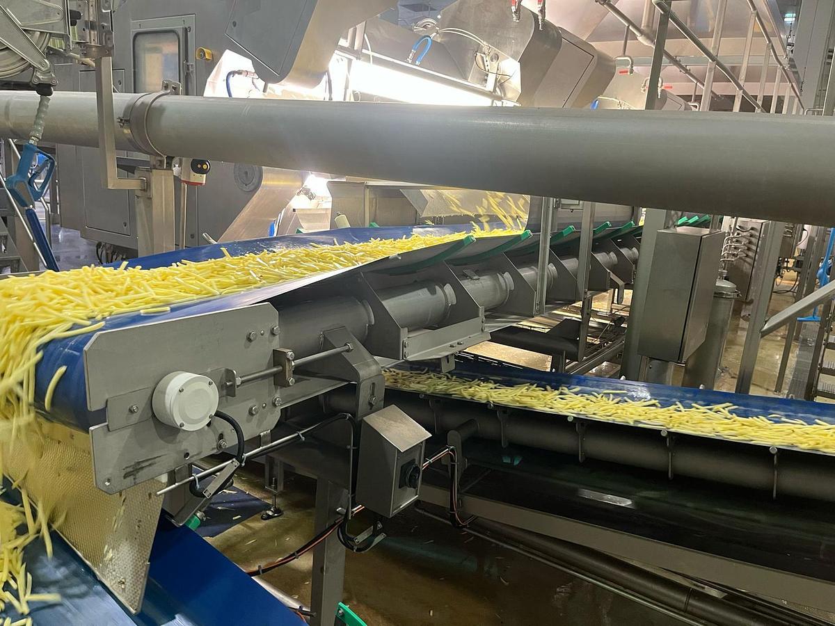 Used Complete sorteerlijn voor productie van French Fries