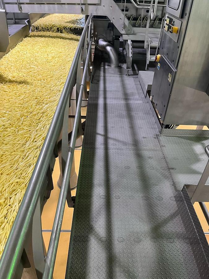 Used Complete sorteerlijn voor productie van French Fries