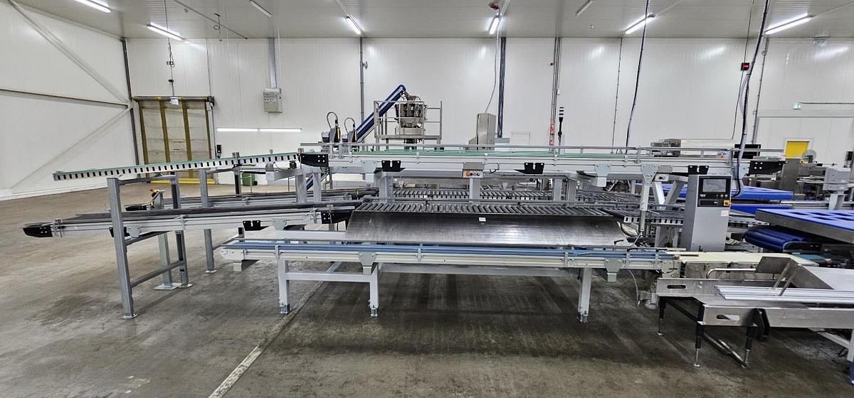 Used 2023 Viscon Complete weeg/ verpakkingslijn voor tros tomaten