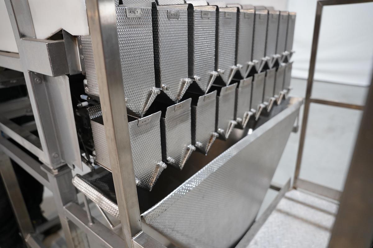 Gebruikt 2009 Newtec lineair weger