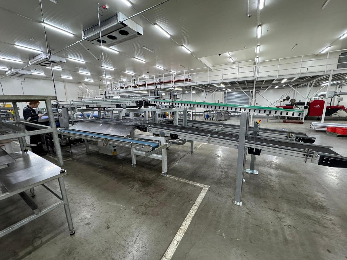 Used 2023 Viscon Complete weeg/ verpakkingslijn voor tros tomaten