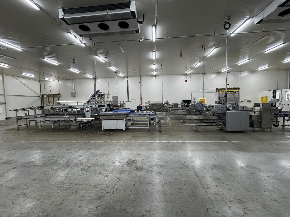 Used 2023 Viscon Complete weeg/ verpakkingslijn voor tros tomaten