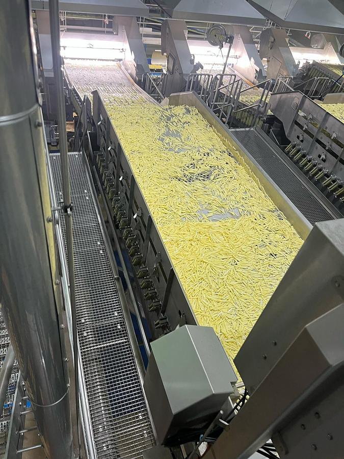 Used Complete sorteerlijn voor productie van French Fries