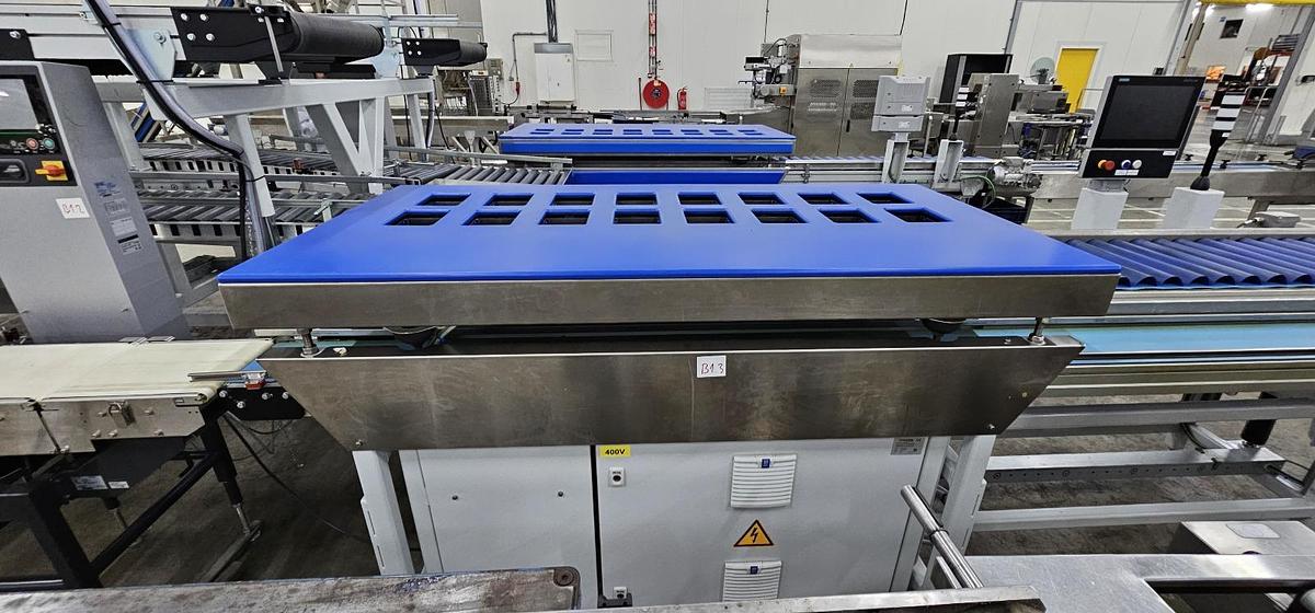 Used 2023 Viscon Complete weeg/ verpakkingslijn voor tros tomaten