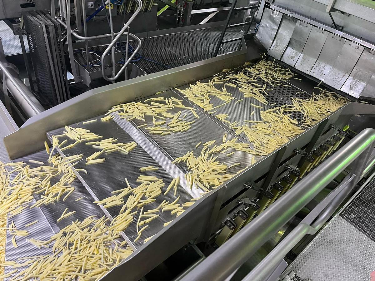 Used Complete sorteerlijn voor productie van French Fries