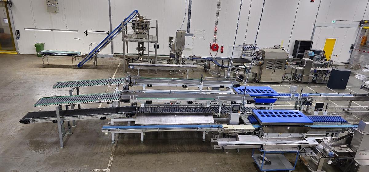 Used 2023 Viscon Complete weeg/ verpakkingslijn voor tros tomaten