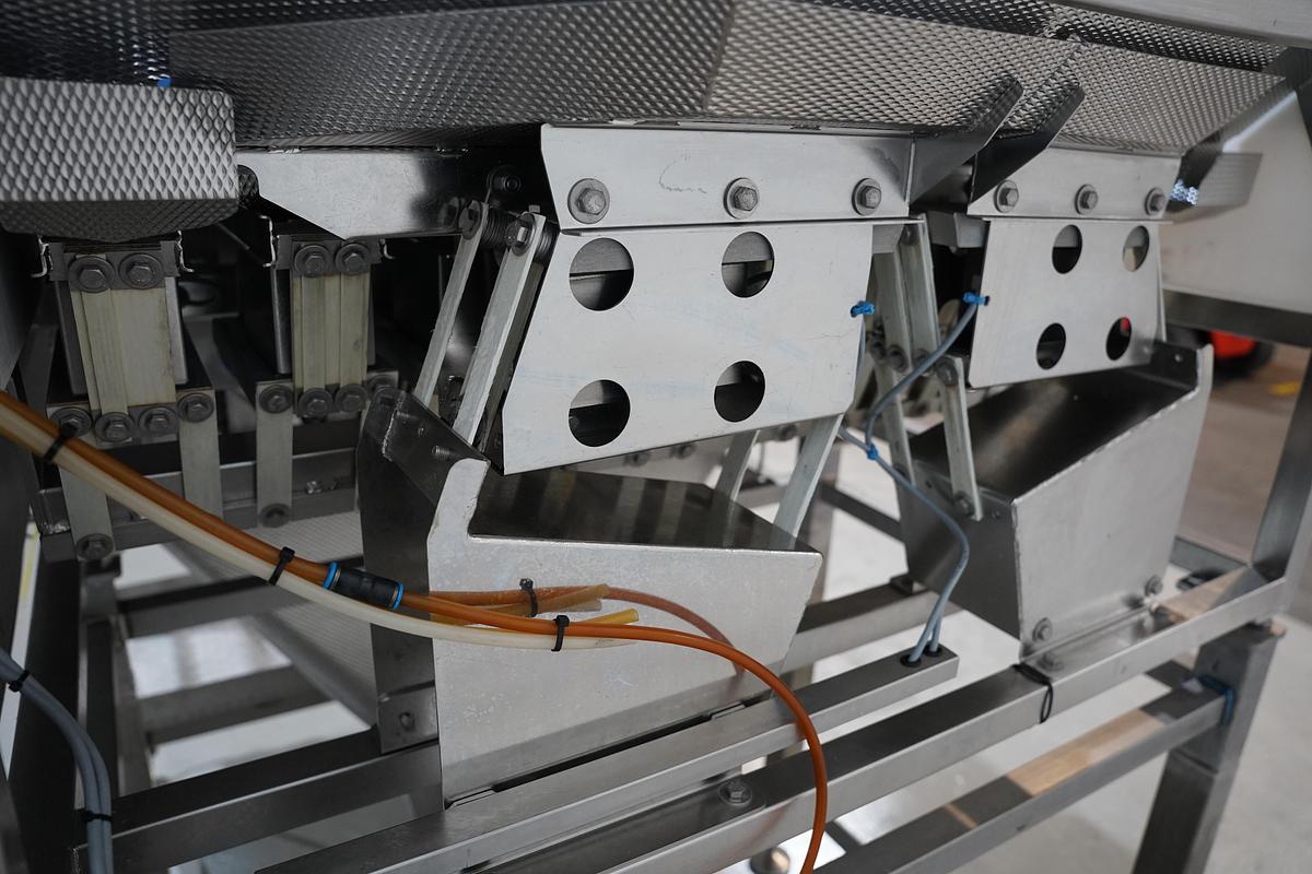 Gebruikt 2009 Newtec lineair weger
