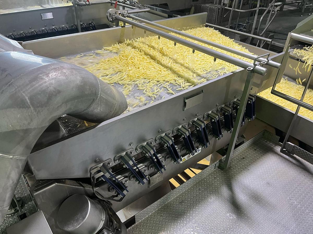 Used Complete sorteerlijn voor productie van French Fries