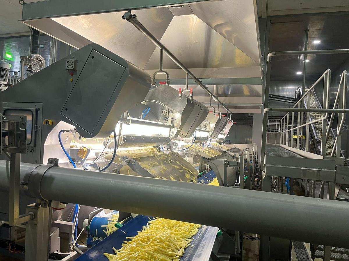 Used Complete sorteerlijn voor productie van French Fries