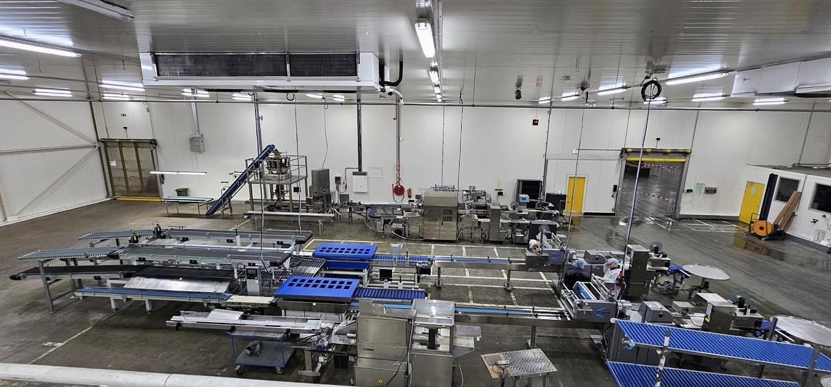 Used 2023 Viscon Complete weeg/ verpakkingslijn voor tros tomaten