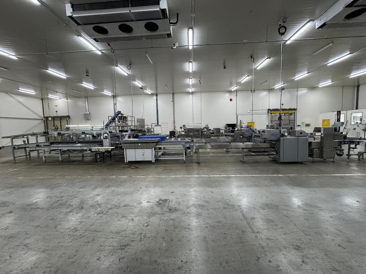 Used 2023 Viscon Complete weeg/ verpakkingslijn voor tros tomaten