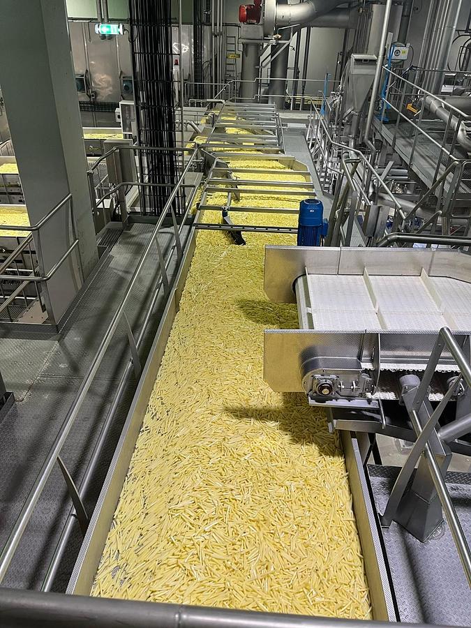 Used Complete sorteerlijn voor productie van French Fries