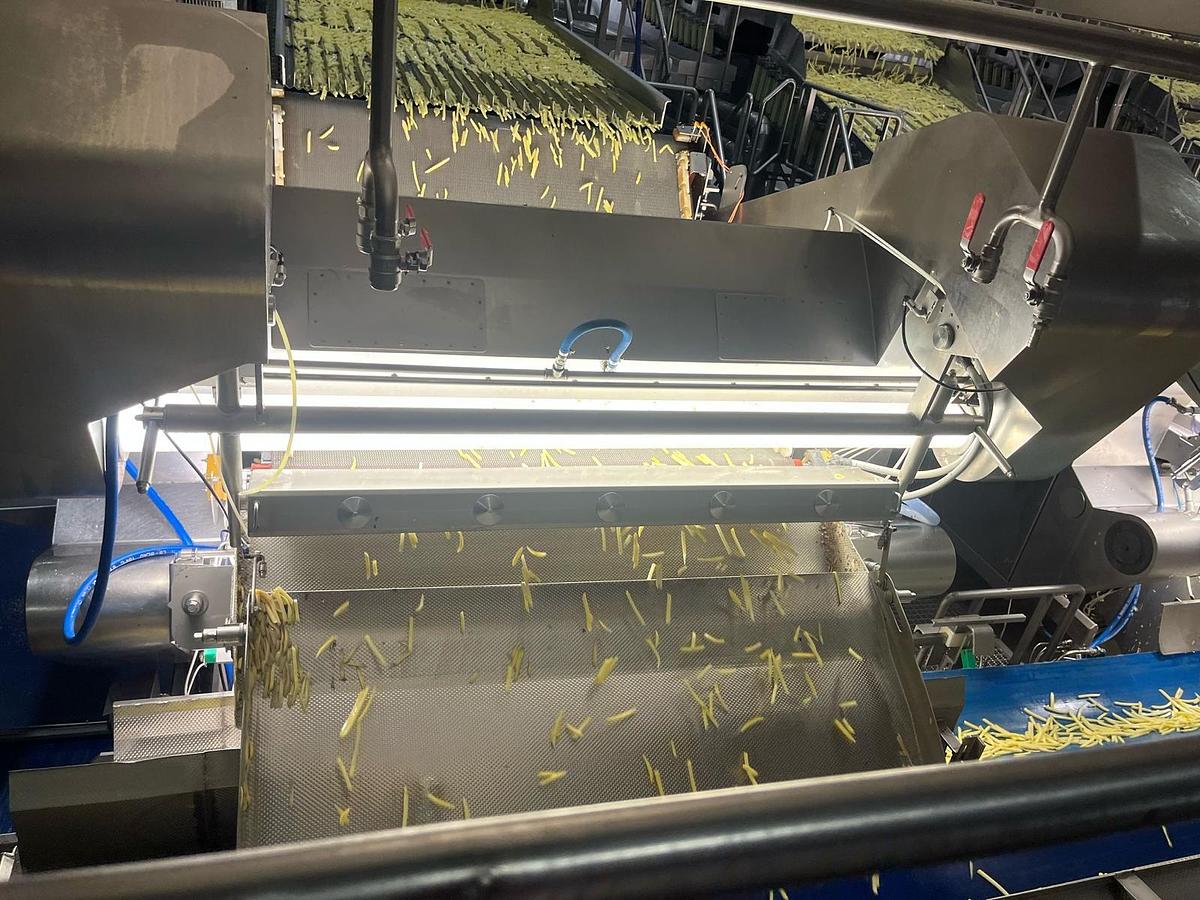 Used Complete sorteerlijn voor productie van French Fries