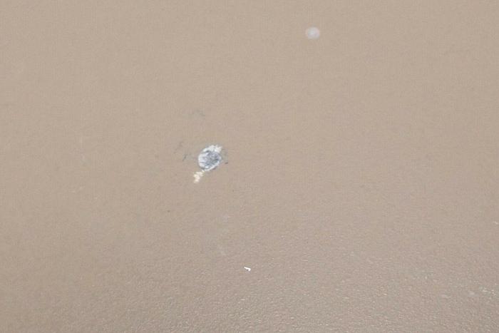 Used EG&G Ortec 914 Turbo-MCS Multichannel Analyzer