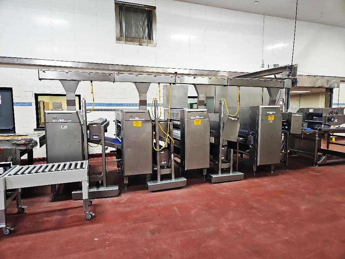 Used Rademaker Sheeting line