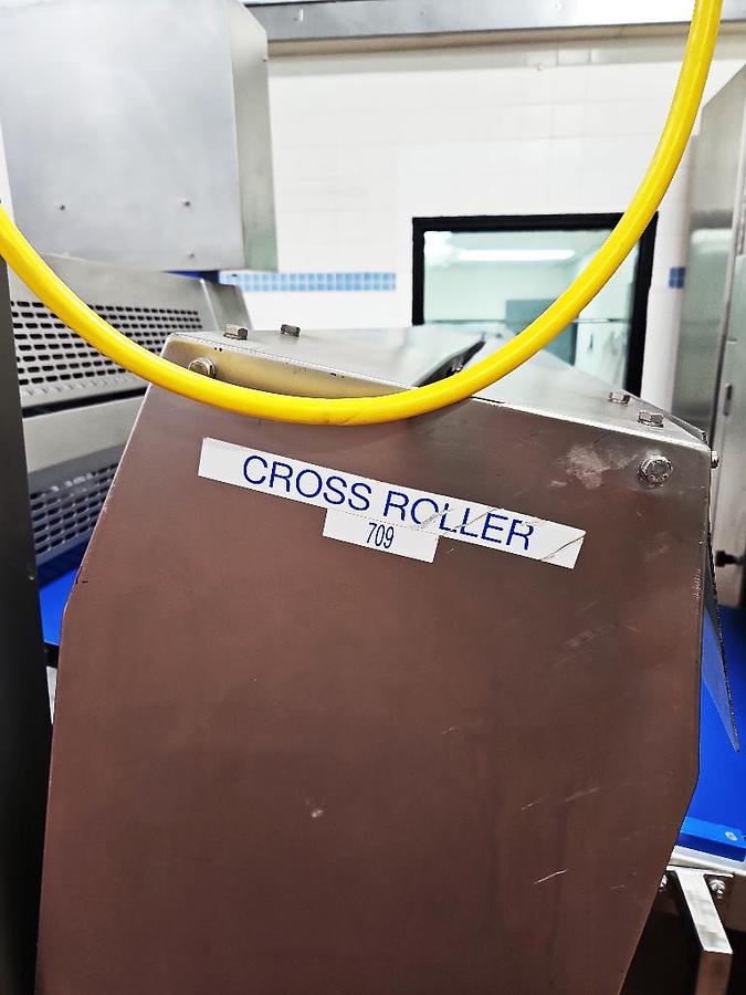 Used Rademaker Sheeting line