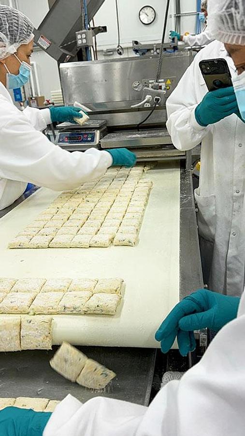 Used Rheon V4 Divider M#VX 122 w/ Stretcher, Slitter, Panner and Dough Lift