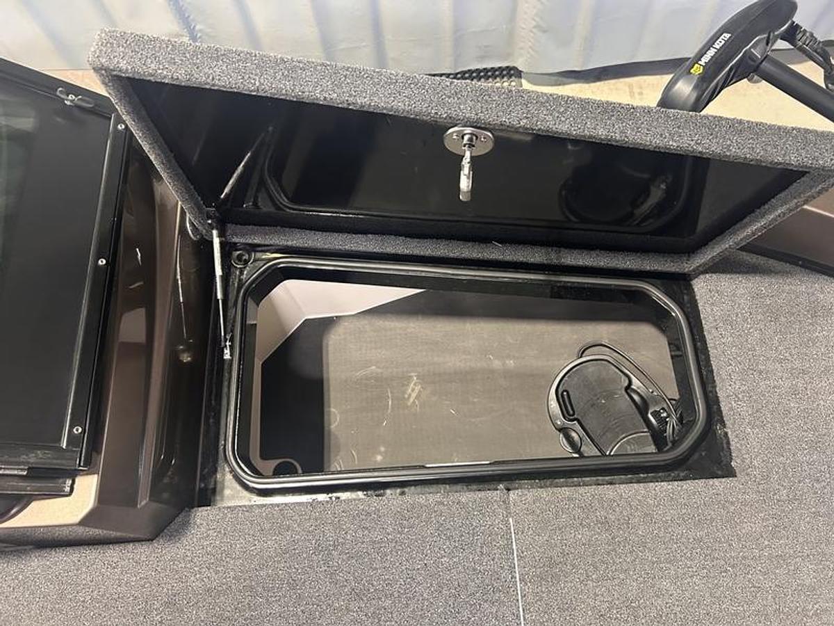 Used 2021 Vexus DVX19