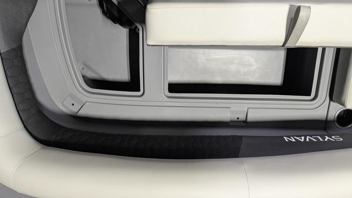 2026 Sylvan R-22 Party Fish