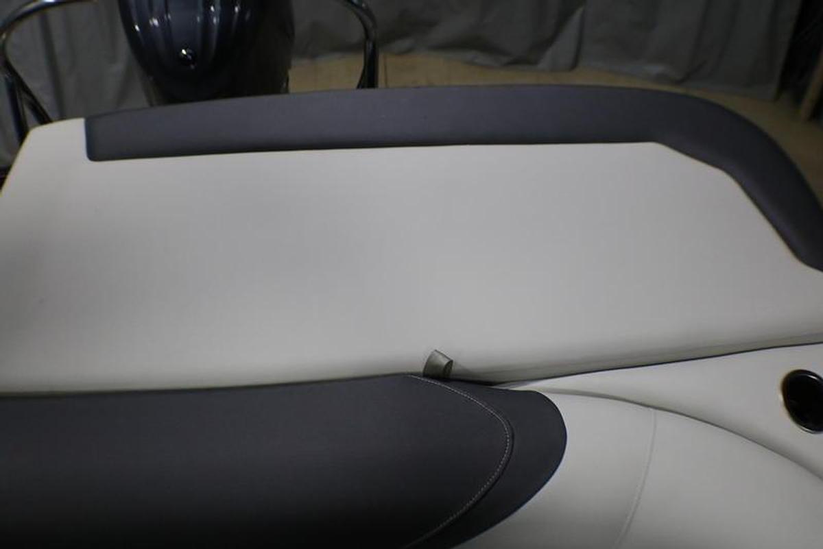 2024 SunChaser Geneva Cruise 22 DS CRS