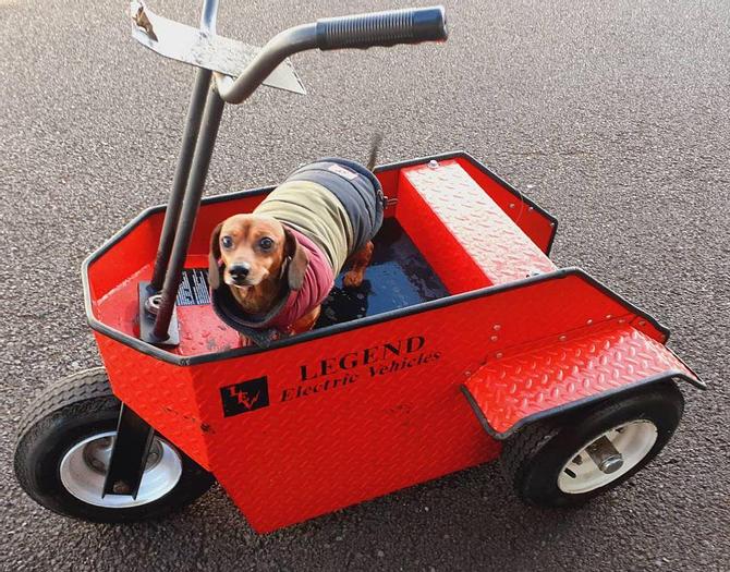 Used Chariot 3 Wheel Vehicle