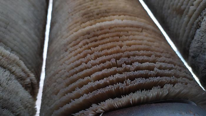 Used Obieraczka 5 rolkowa