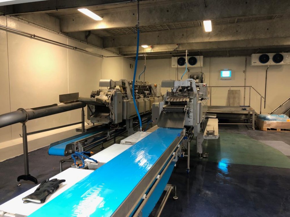 Used 2 x Baader complete cod filleting lines