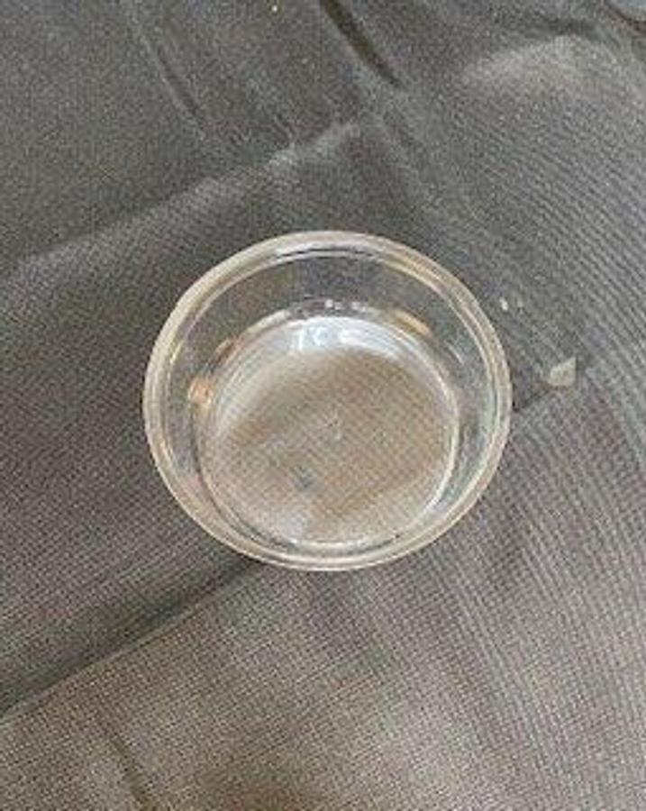 Salad Bowl, Lid and Inserts Brand New in the box