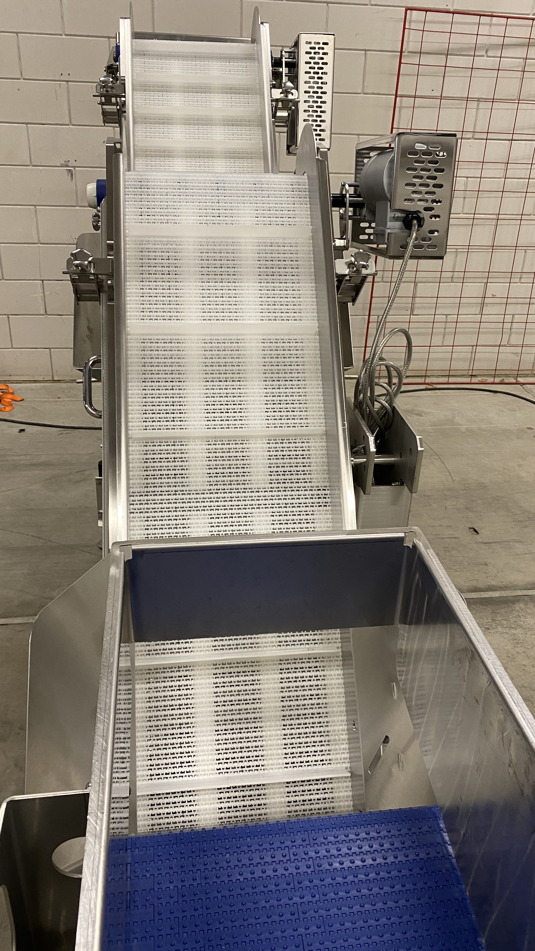 Used Multivac buffer conveyor