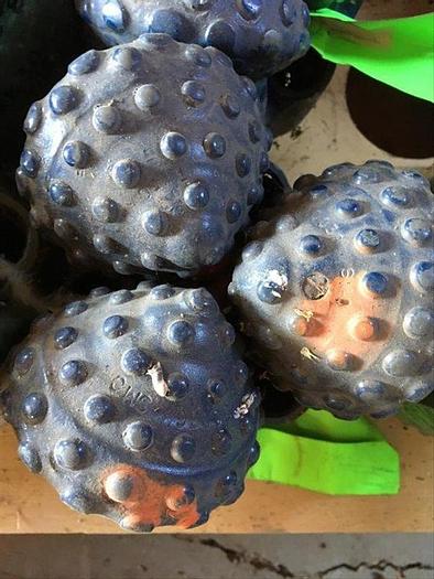 Used 6-1/8" TCI Bit -TR6125THSR