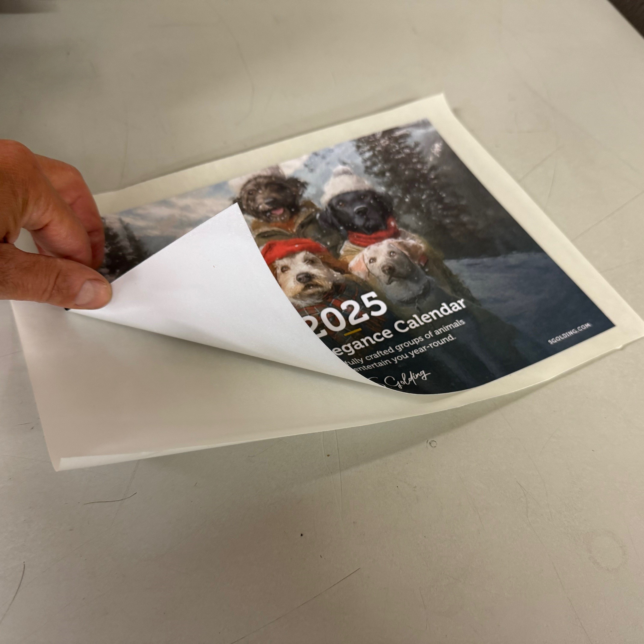 Xyron Pro 850 A4 / A5 Cold Laminator & Adhesive Machine - 624168