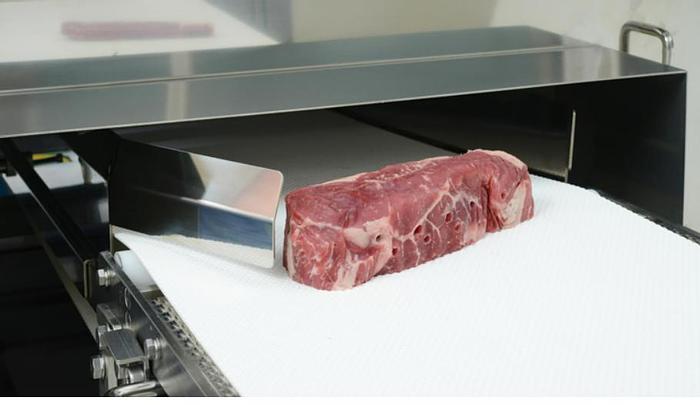 Nantsune Model NTD-300F Libra 300F 3D Frozen Fixed Weight Meat Slicer