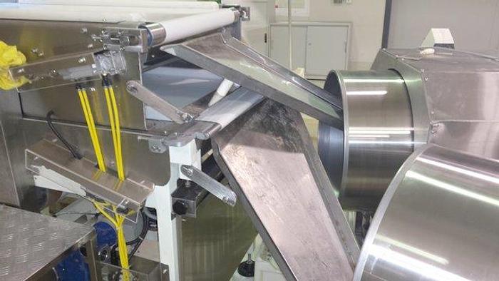 Lentil Plant for Chocolate - 26179