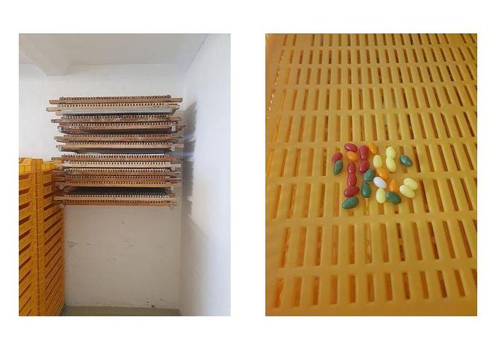 Gebraucht Mogulanlage