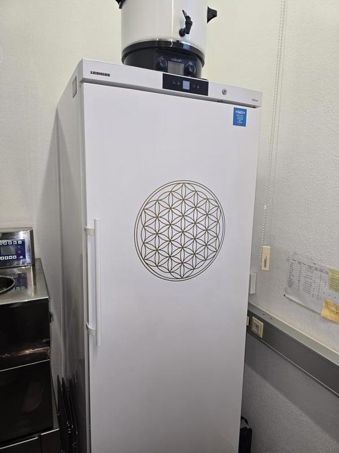 Gebraucht Gießmaschine