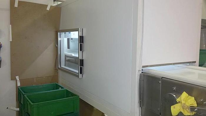 Lentil Plant for Chocolate - 26179