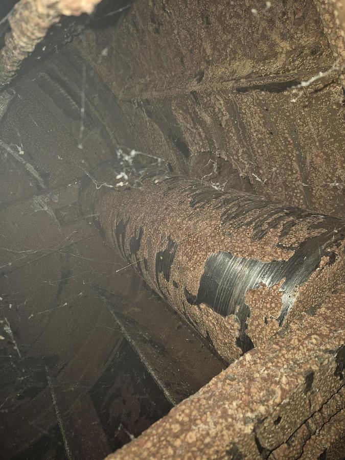 Gebraucht Conche - 71379