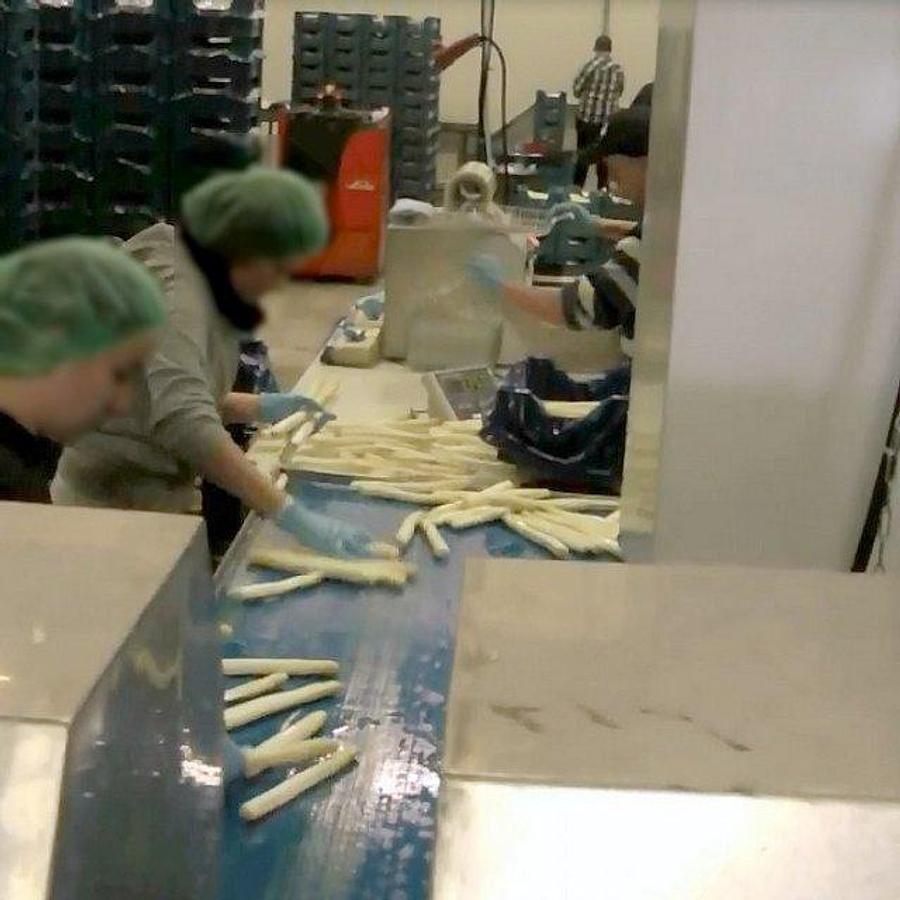 Gebraucht Spargelschälmaschine für Spargel - 26823