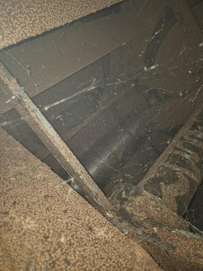 Gebraucht Conche - 71379