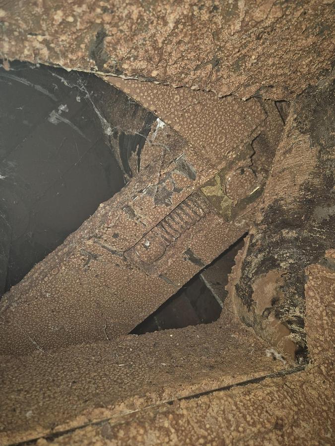 Gebraucht Conche - 71379