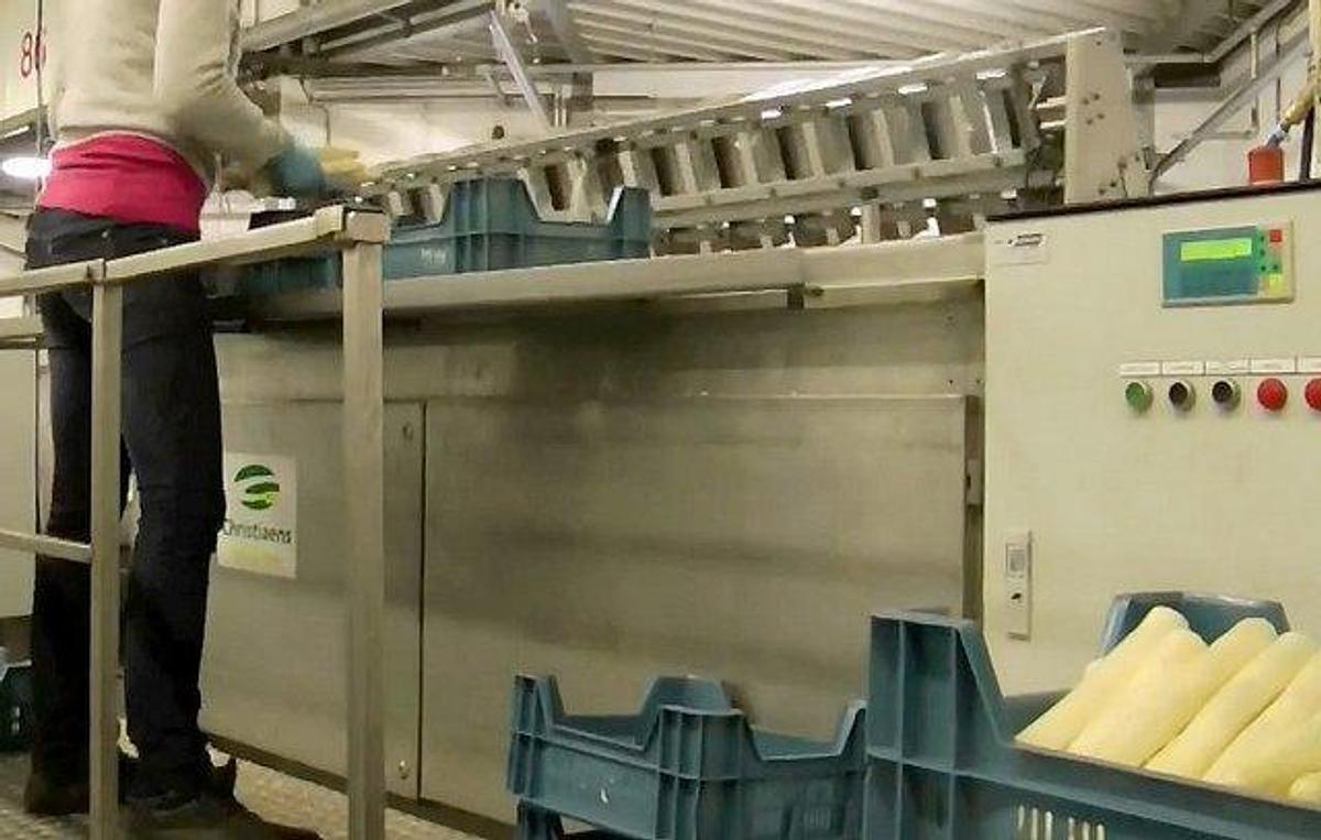 Gebraucht Spargelschälmaschine für Spargel - 26823