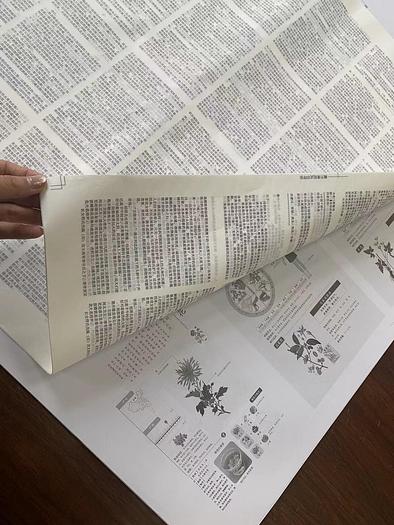 BOOKS PRINTING MACHINE 2+2