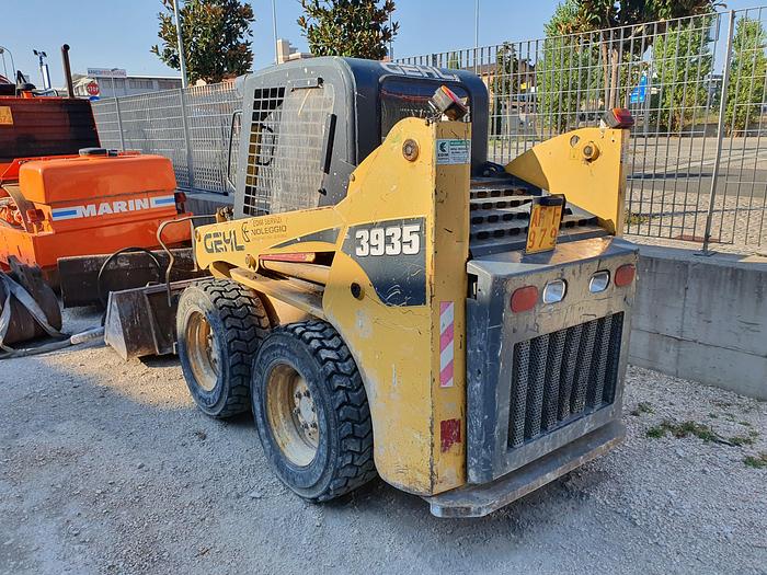 Usato Gehl 3935 SX